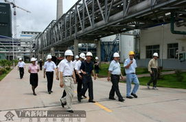 环保部环境工程评估app金桂浆纸 革命性突破