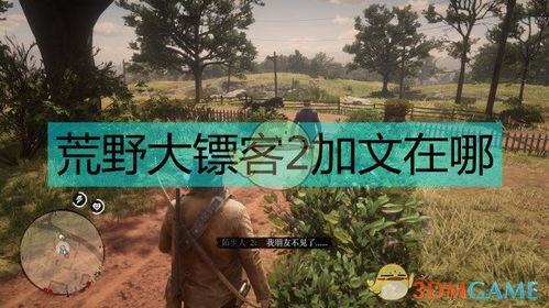 《荒野大镖客2》中神秘失踪的加文及其环保寓意